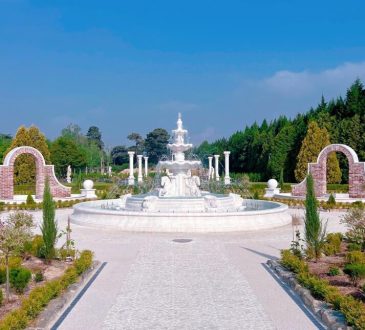 Timeless Marble Art by Master Sculptor Cui Xiao Gang